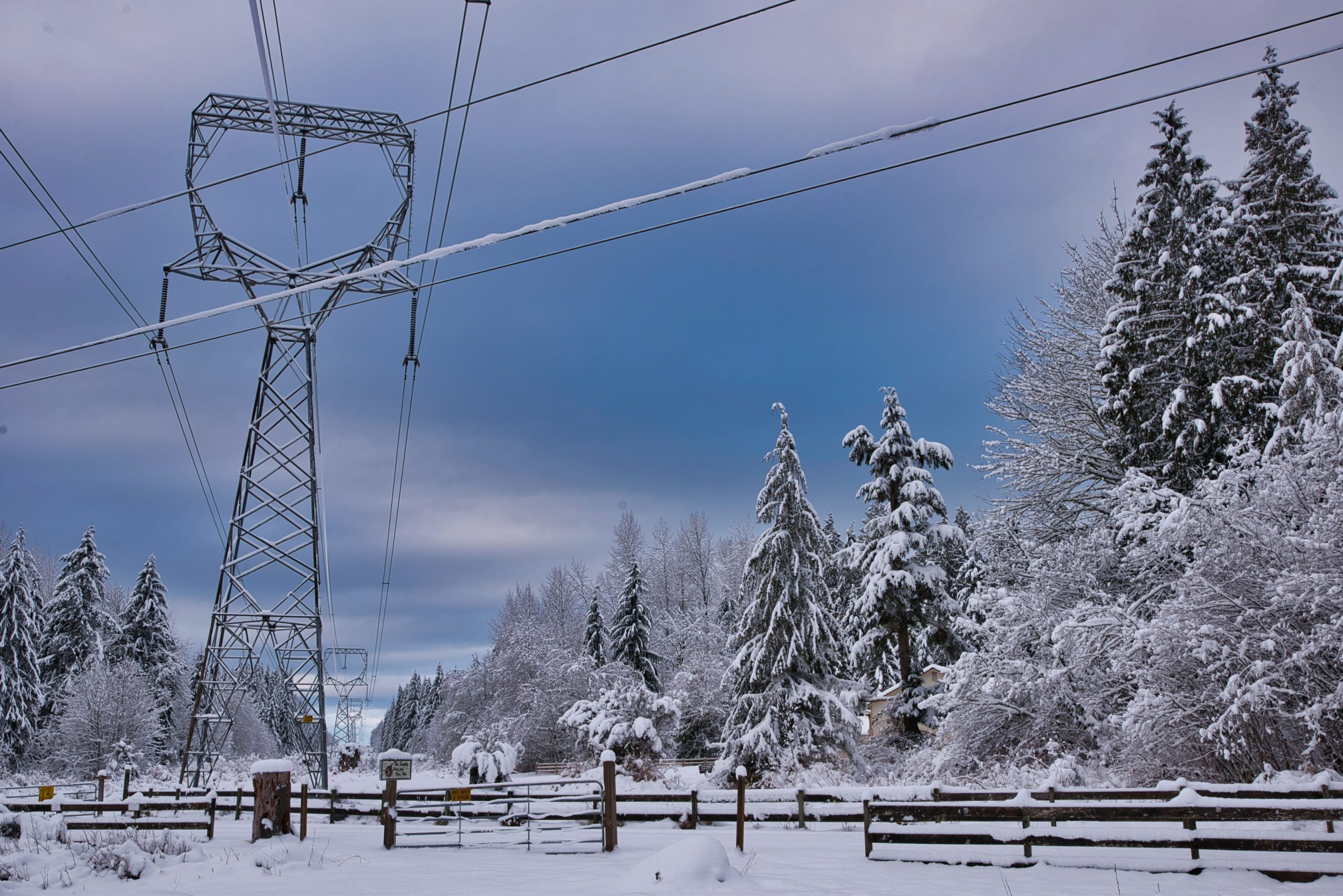 Winter Power Reliability